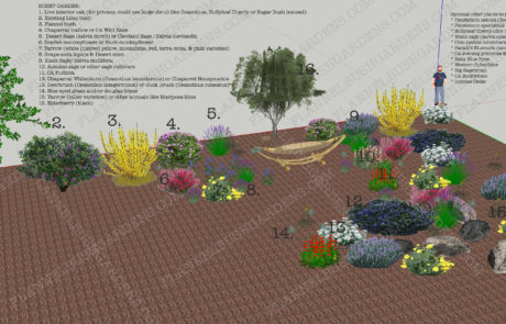 California Native Plant Garden Design for a Wrightwood Air BnB Rental called "Sparrows Nest"