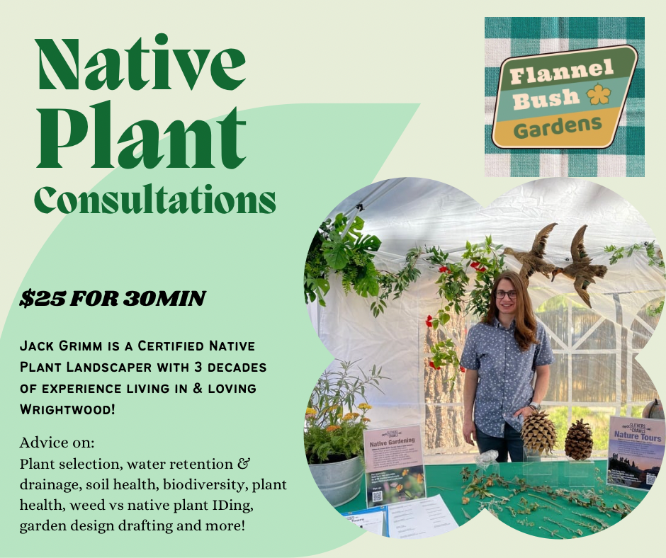 Native Plant Consultation graphic with Jack Grimm, a Certified Native Plant Landscaper He offers consultations for $25/30min. Specializing in mountain plants and high desert plants.
