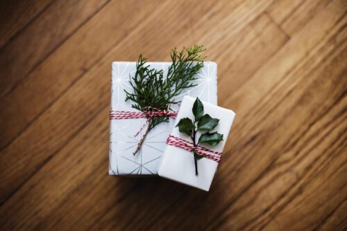 Gift-a-garden box, packaged in paper with a plant cutting tied to the top like a bow. The box contains garden plans, a plant list, and optional seed or potted plant subscription to give the gift of a native plant garden!